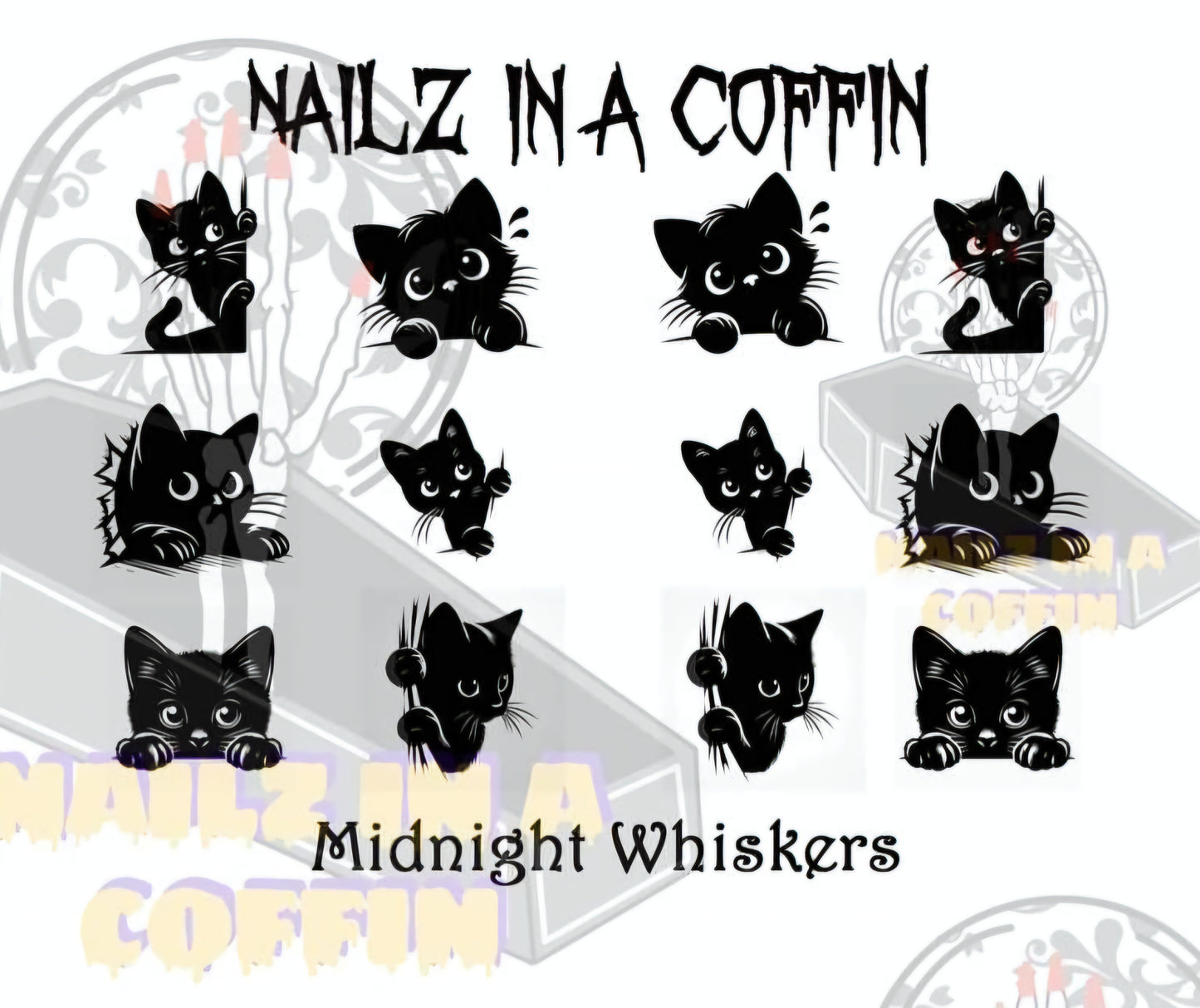 Midnight Whiskers